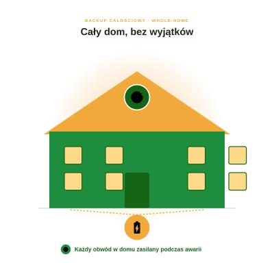 Backup całościowy - zasilanie całego domu